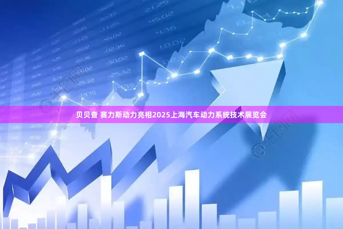 贝贝查 赛力斯动力亮相2025上海汽车动力系统技术展览会
