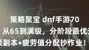 策略聚宝 dnf手游70级5天速成！从65到满级，分阶段最优升级副本+疲劳值分配抄作业！_深渊_阿登_经验