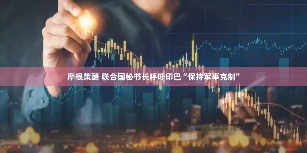 摩根策酪 联合国秘书长呼吁印巴“保持军事克制”