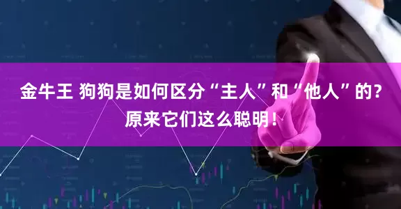 金牛王 狗狗是如何区分“主人”和“他人”的?原来它们这么聪明!